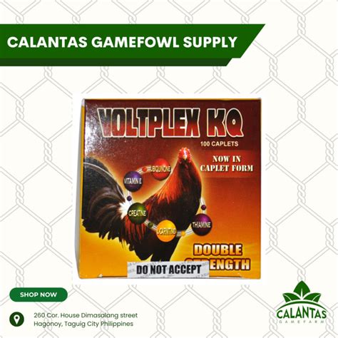 voltplex for cockfighting how to use|Voltplex KQ .